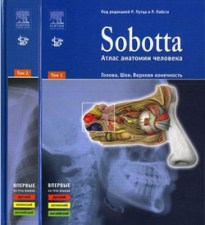 Sobotta Атлас анатомии человека в 2х томах.jpg